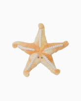 Bubble Plush Toy - Sunny the Starfish